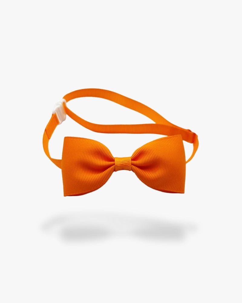 Noeud papillon chien | Orange Orange