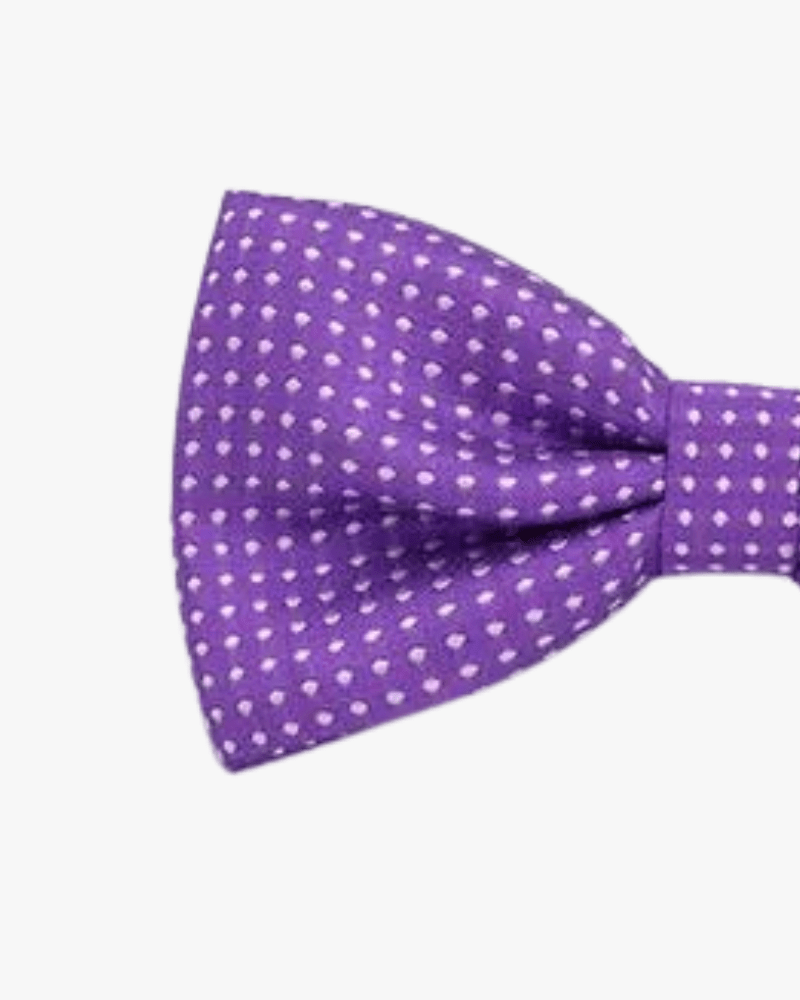 noeud papillon violet a pois detail