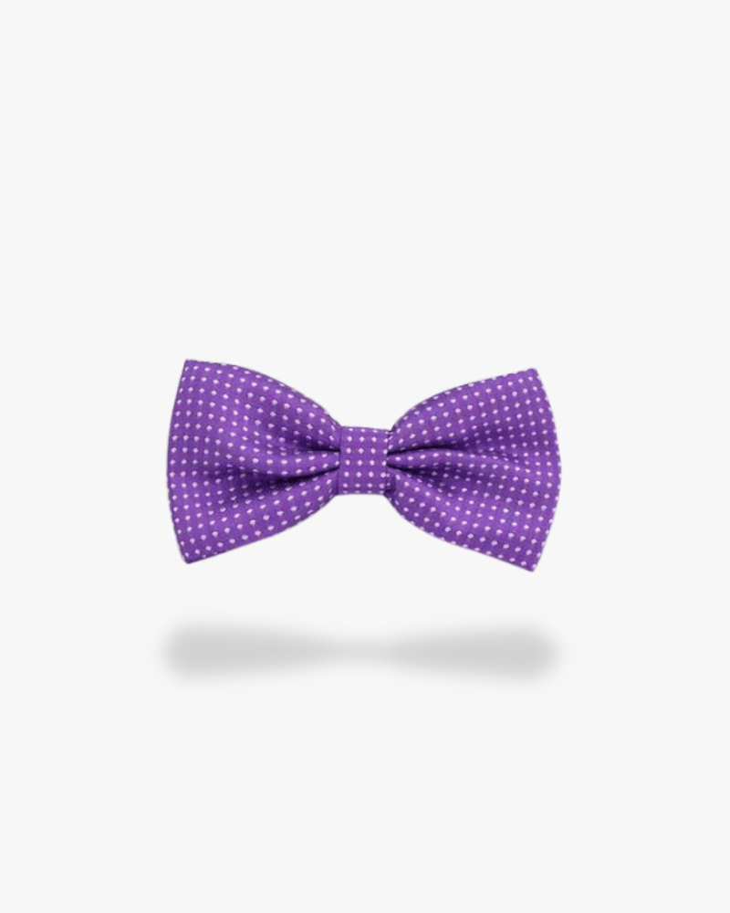 noeud papillon violet a pois