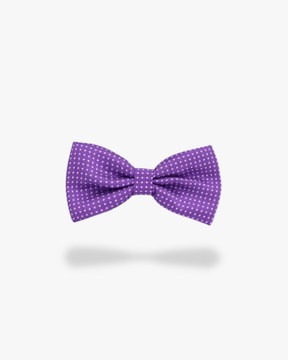 Noeud papillon à pois | Violet Violet
