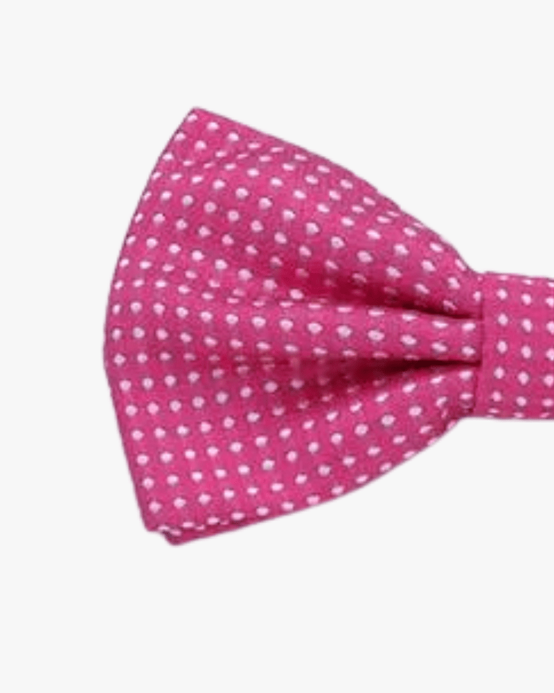 Noeud papillon a pois rose detail