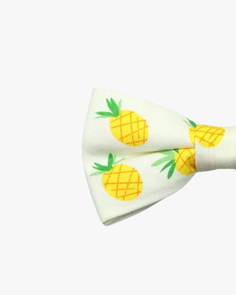 Noeud papillon | Ananas Blanc