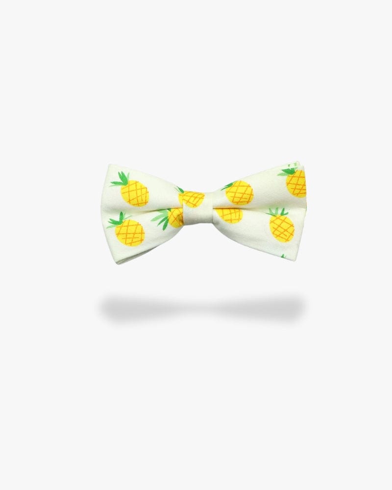 Noeud papillon | Ananas Blanc