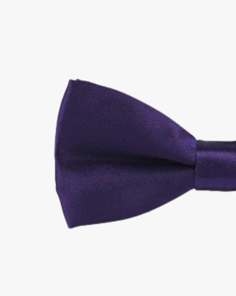 Noeud papillon bébé | Violet foncé Violet