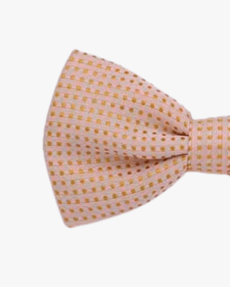 Noeud papillon beige a pois detail
