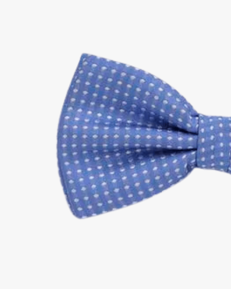 noeud papillon bleu a pois blanc detail