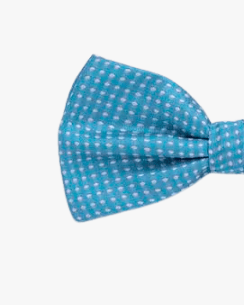noeud papillon bleu a pois detail