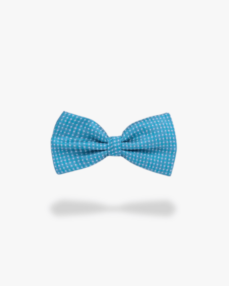 noeud papillon bleu a pois