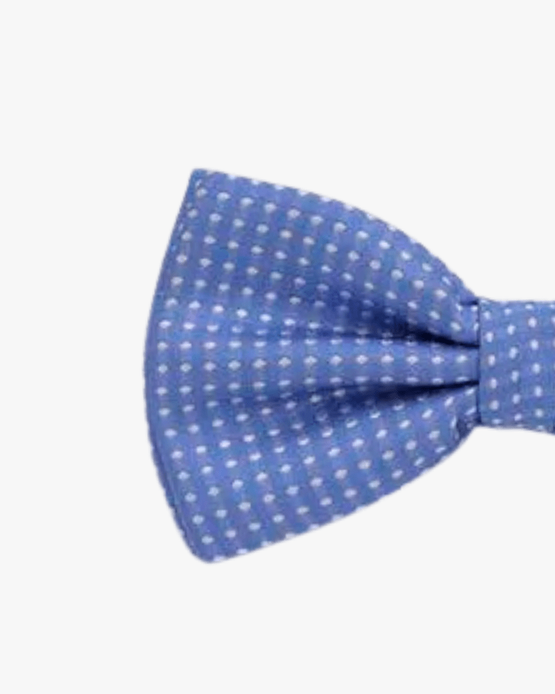 noeud papillon bleu clair a pois detail