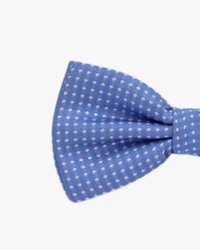 Noeud papillon à pois | Bleu clair Bleu