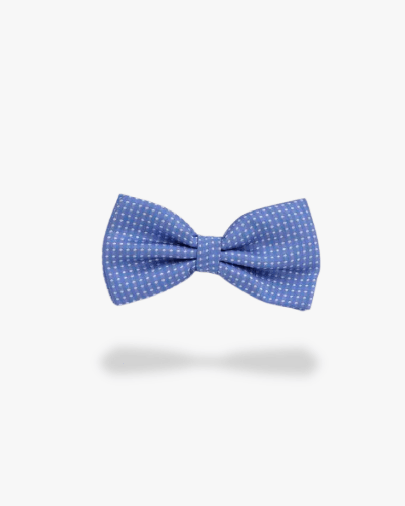 noeud papillon bleu clair a pois