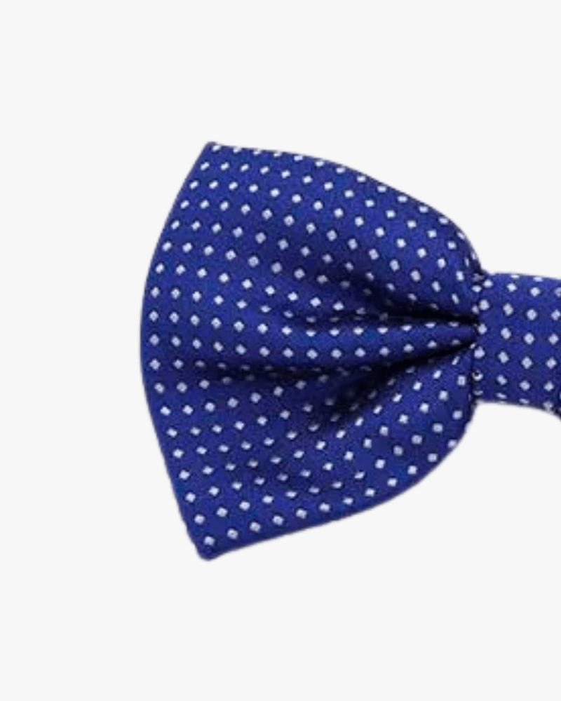 Noeud papillon bleu marine a pois blanc detail