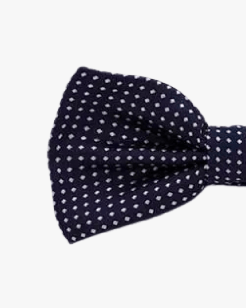 noeud papillon bleu marine a pois detail