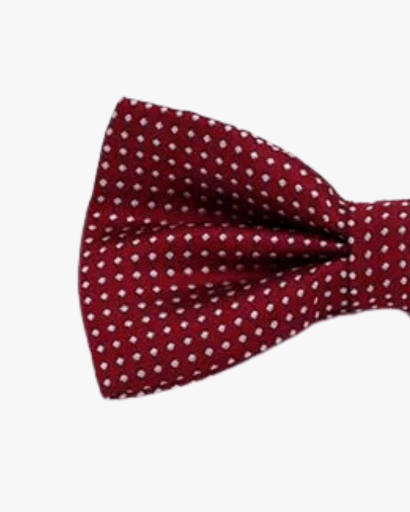 noeud papillo bordeaux a pois detail