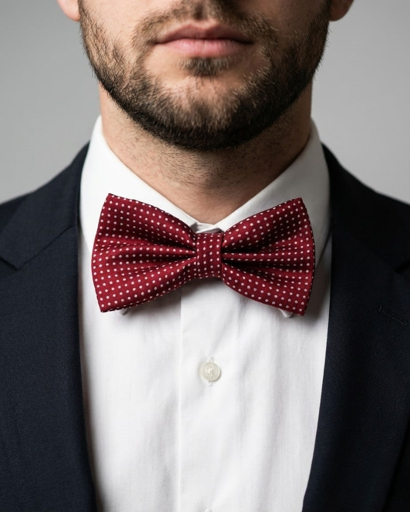 noeud papillon bordeaux a pois homme