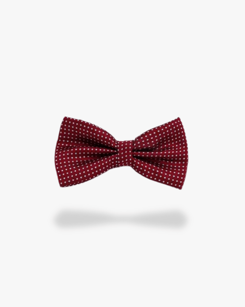 noeud papillo bordeaux a pois