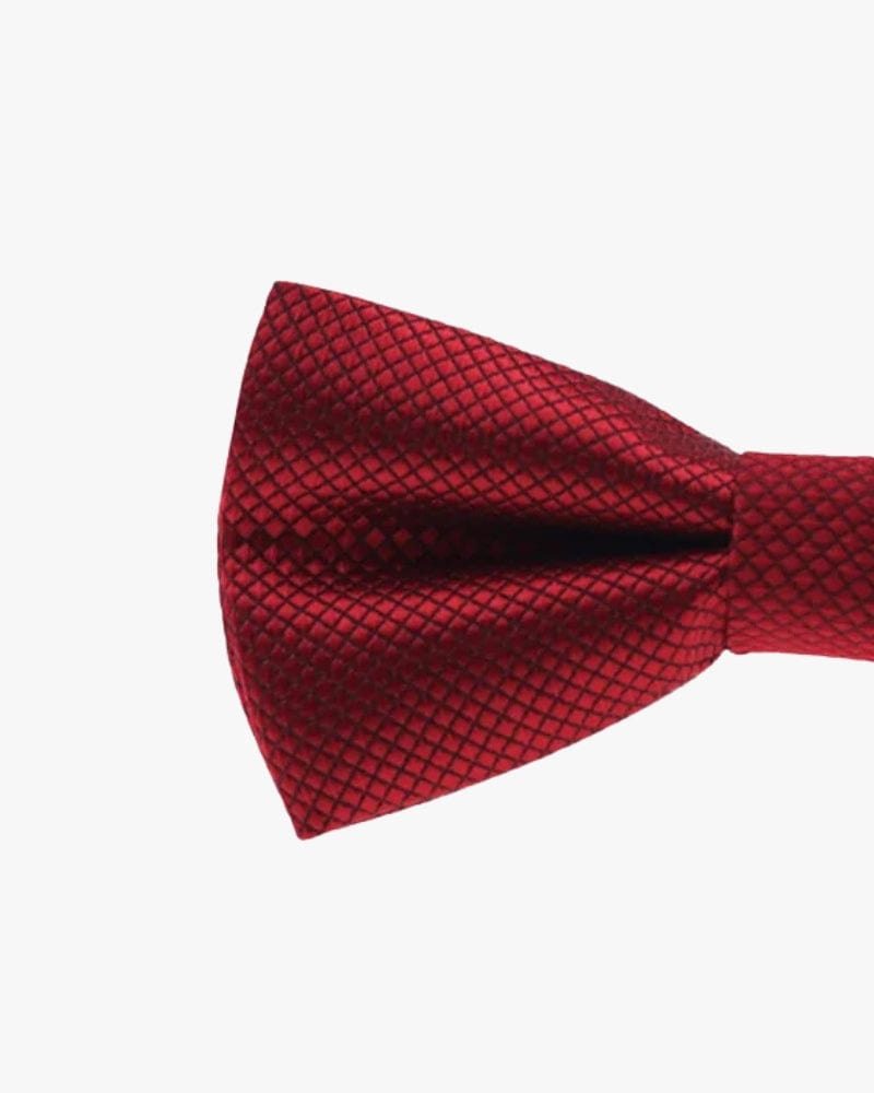 Noeud papillon mariage | Bordeaux