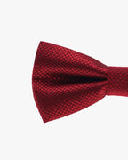 Noeud papillon mariage | Bordeaux