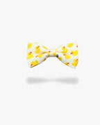 Noeud papillon | Canard Blanc