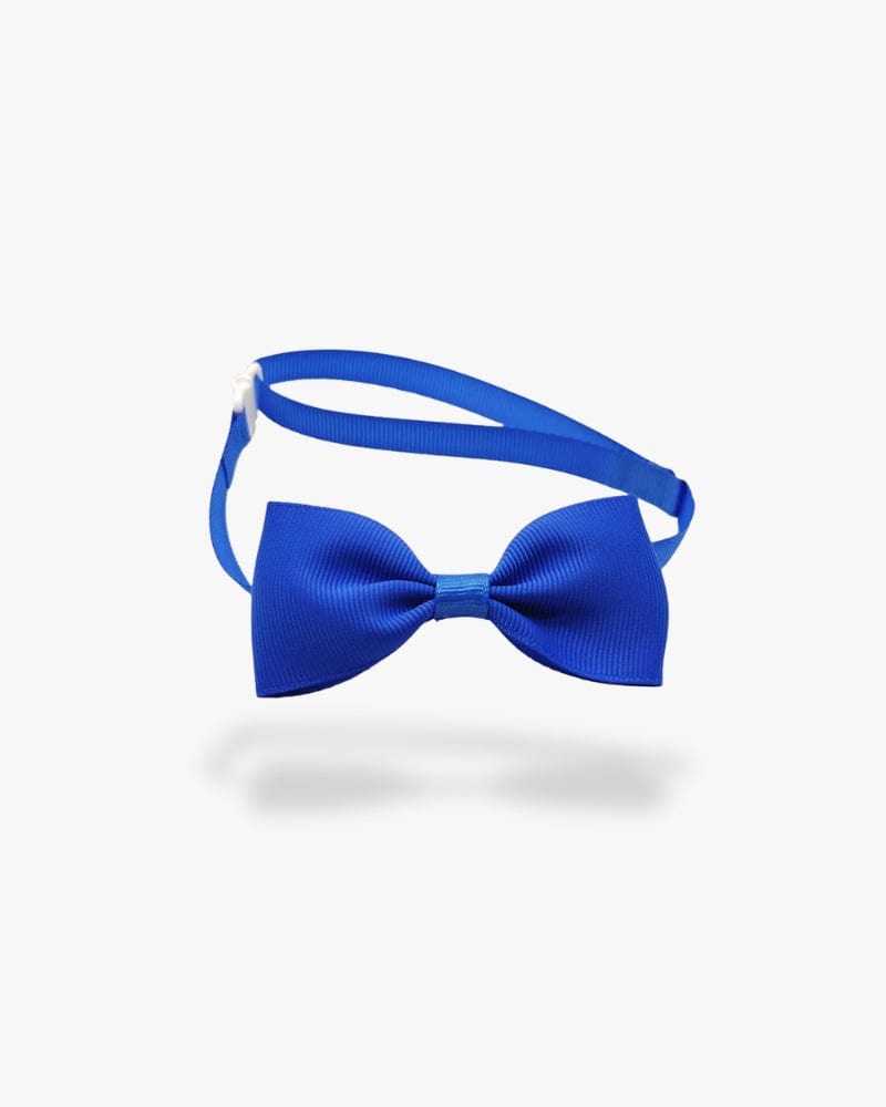 Noeud papillon chien | Bleu Bleu