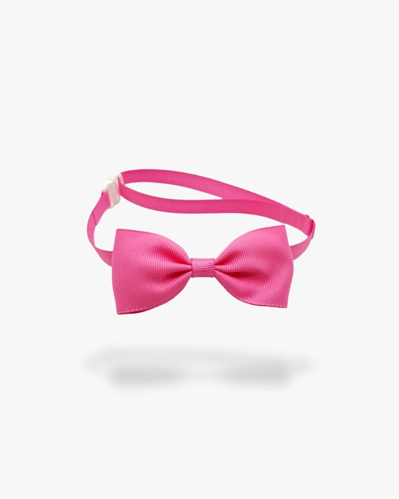 Noeud papillon chien | Rose Rose