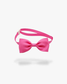 Noeud papillon chien | Rose Rose