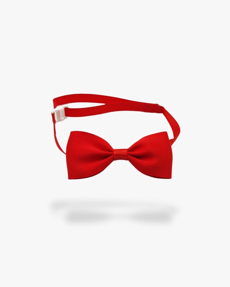 Noeud papillon chien | Rouge Rouge