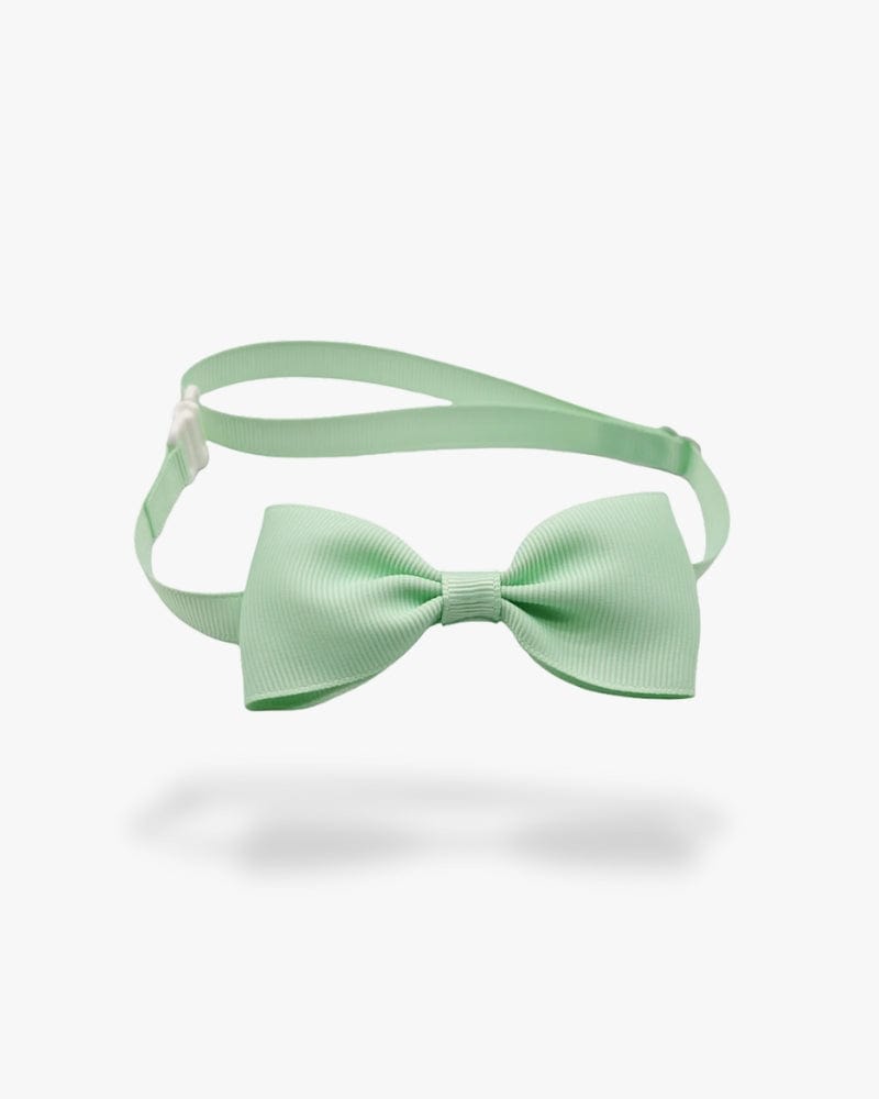 Noeud papillon chien | Vert anis Verts anis