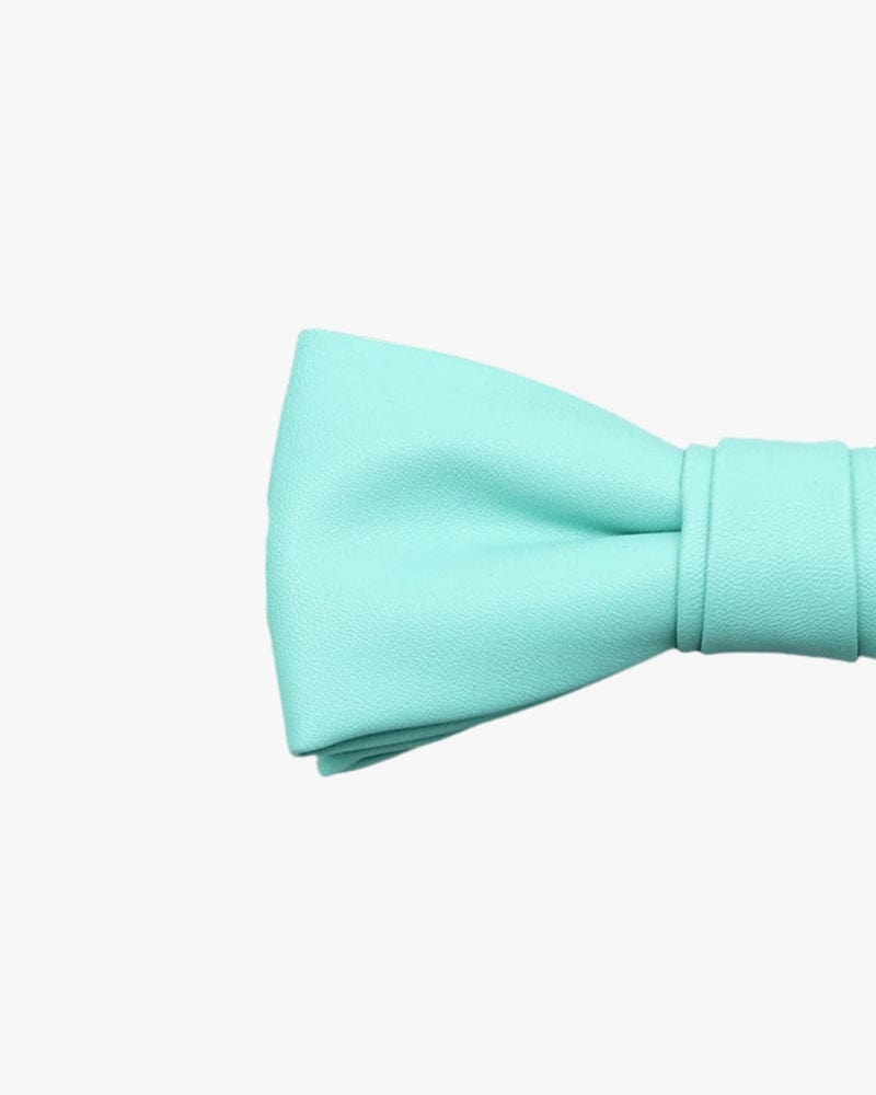 Noeud papillon en cuir | Turquoise Turquoise