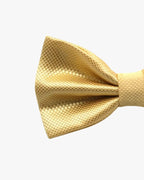 Noeud papillon doré | Mariage Or