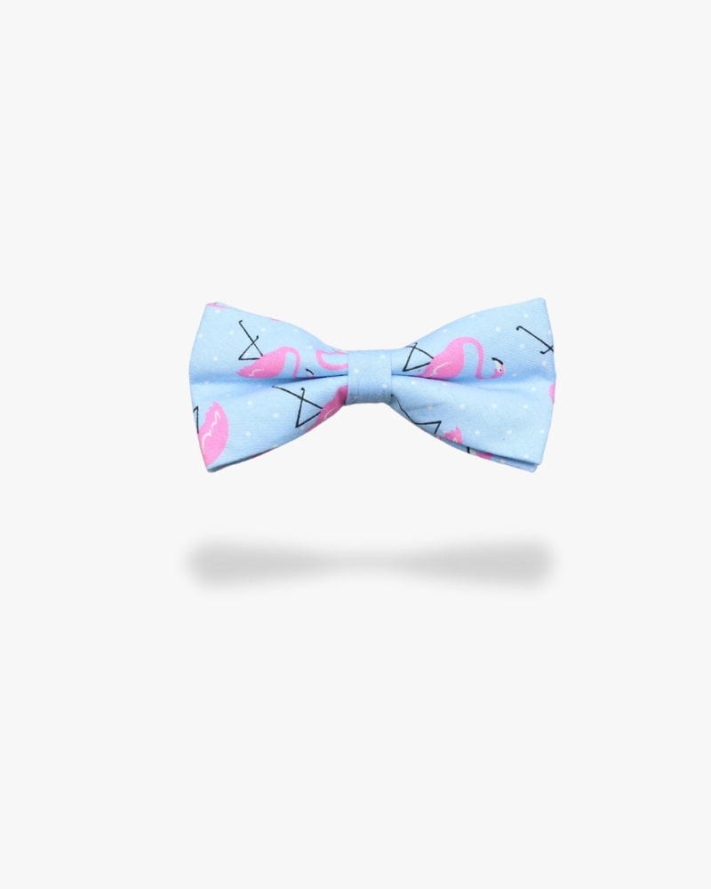 Noeud papillon | Flamant rose bleu Bleu