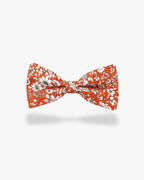 Noeud papillon fleuri | Orange Orange