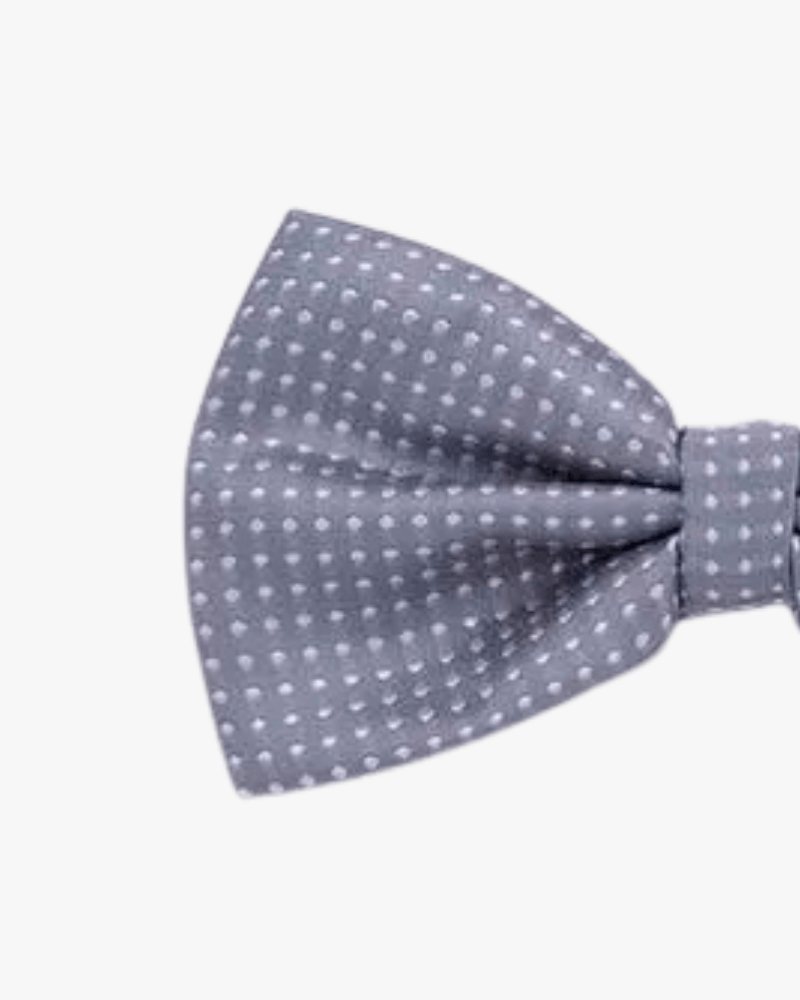 Noeud papillon gris a pois detail