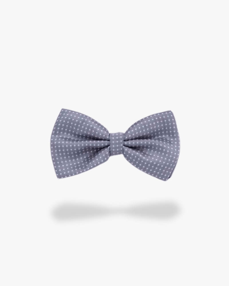 Noeud papillon gris a pois