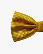 Noeud papillon doré | Prestige Or