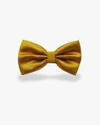 Noeud papillon doré | Prestige Or