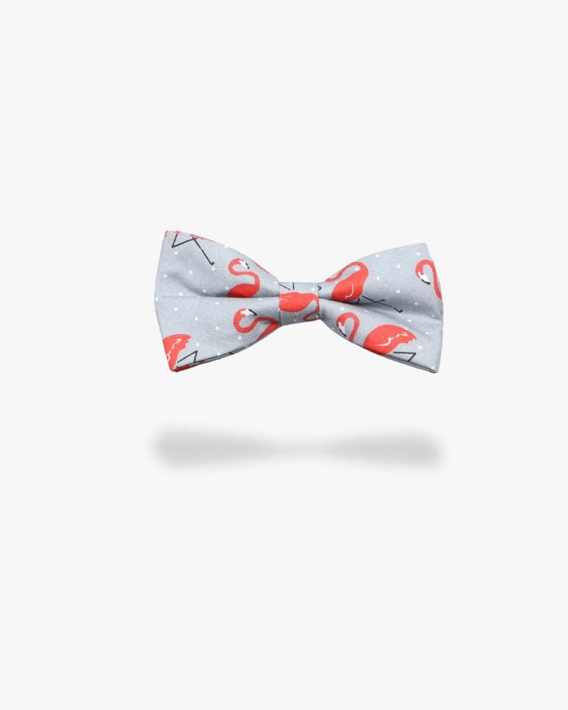Noeud papillon | Flamant rose Gris