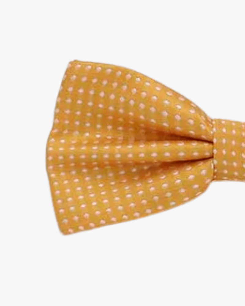 Noeud papillon jaune a pois detail