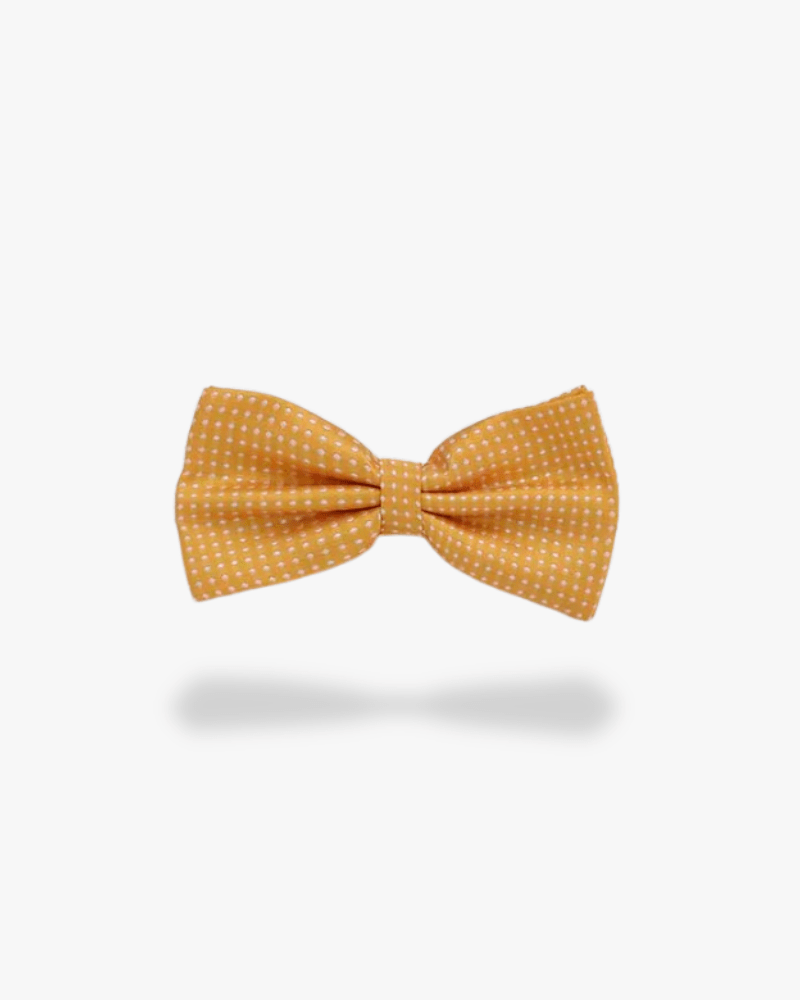 Noeud papillon jaune a pois
