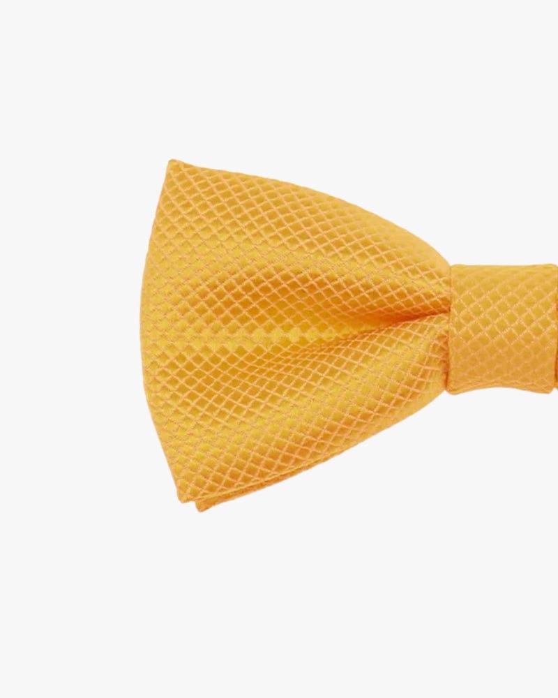 Noeud papillon mariage | Jaune