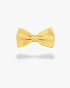 Noeud papillon | Jaune pale Jaune