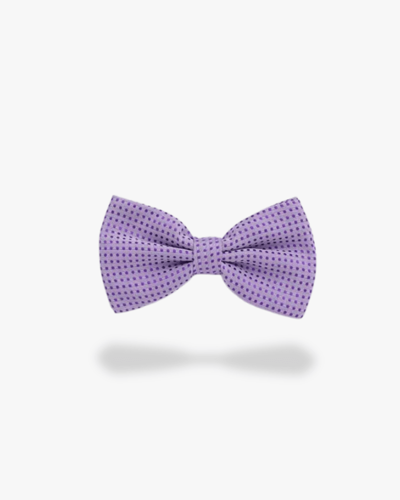 noeud papillon lavande a pois