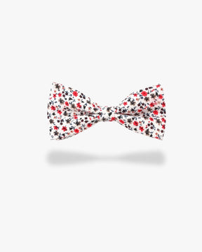 Noeud papillon liberty | Fleuraison