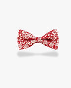 Noeud papillon liberty | Rouge