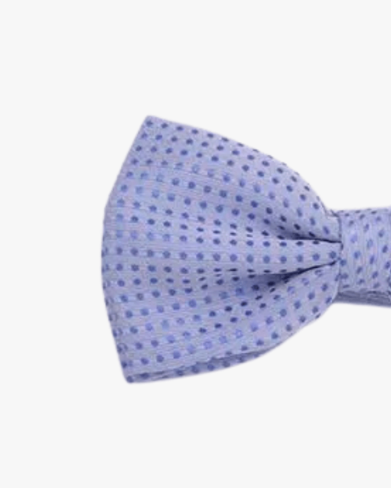 Noeud papillon lilas a pois detail