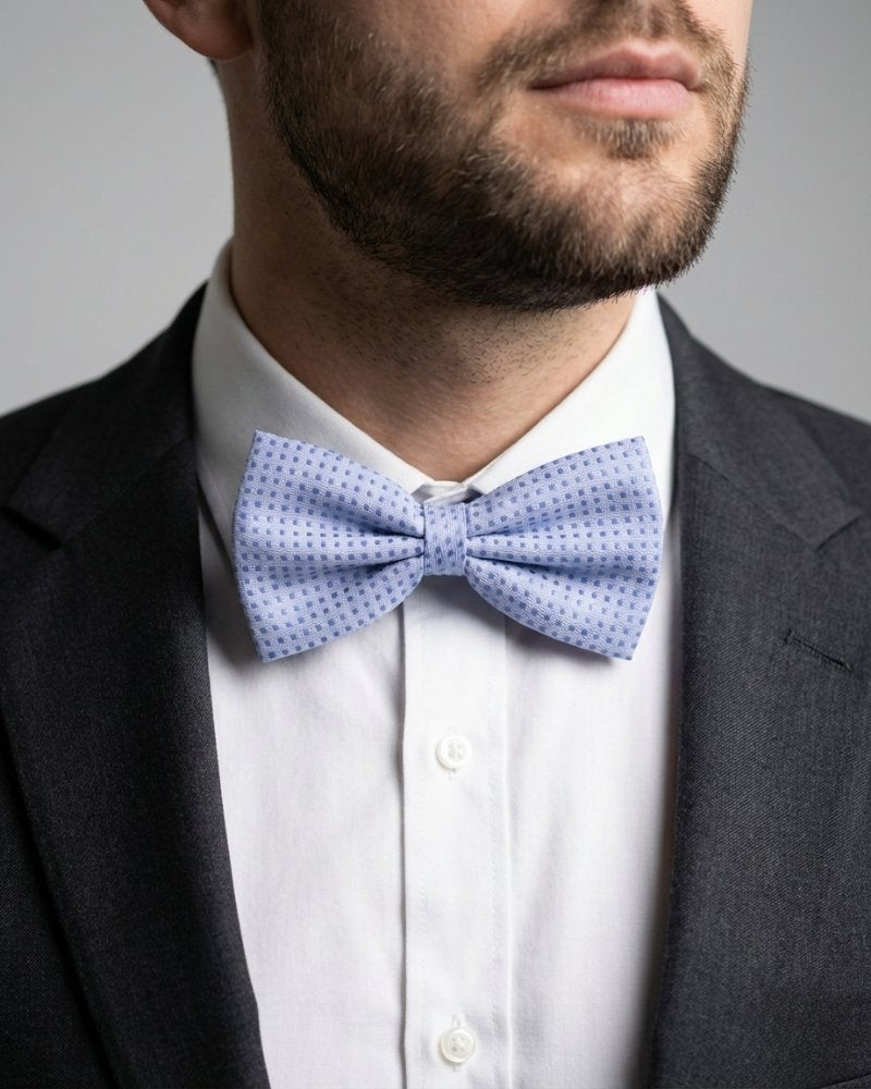 Noeud papillon lilas a pois homme