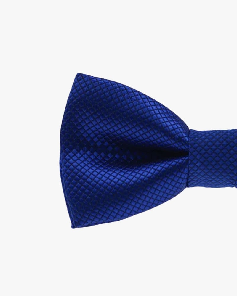 Noeud papillon mariage | Bleu