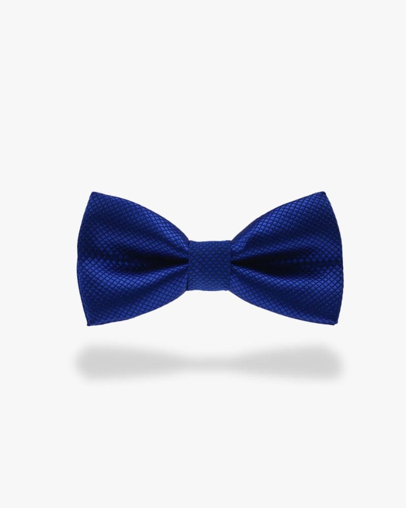 Noeud papillon mariage | Bleu