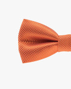Noeud papillon mariage | Orange