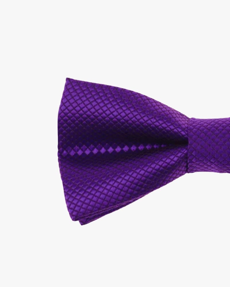 Noeud papillon mariage | Violet